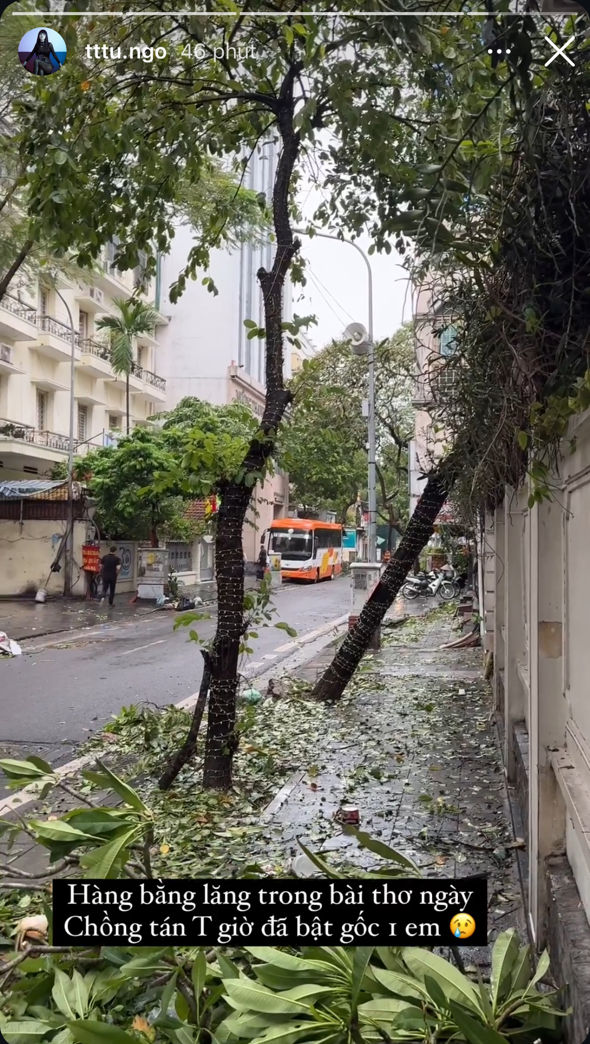 Cảnh gãy đổ, xơ xác tại căn biệt thự của Á hậu Vbiz và chồng đại gia sau cơn bão số 3- Ảnh 3.