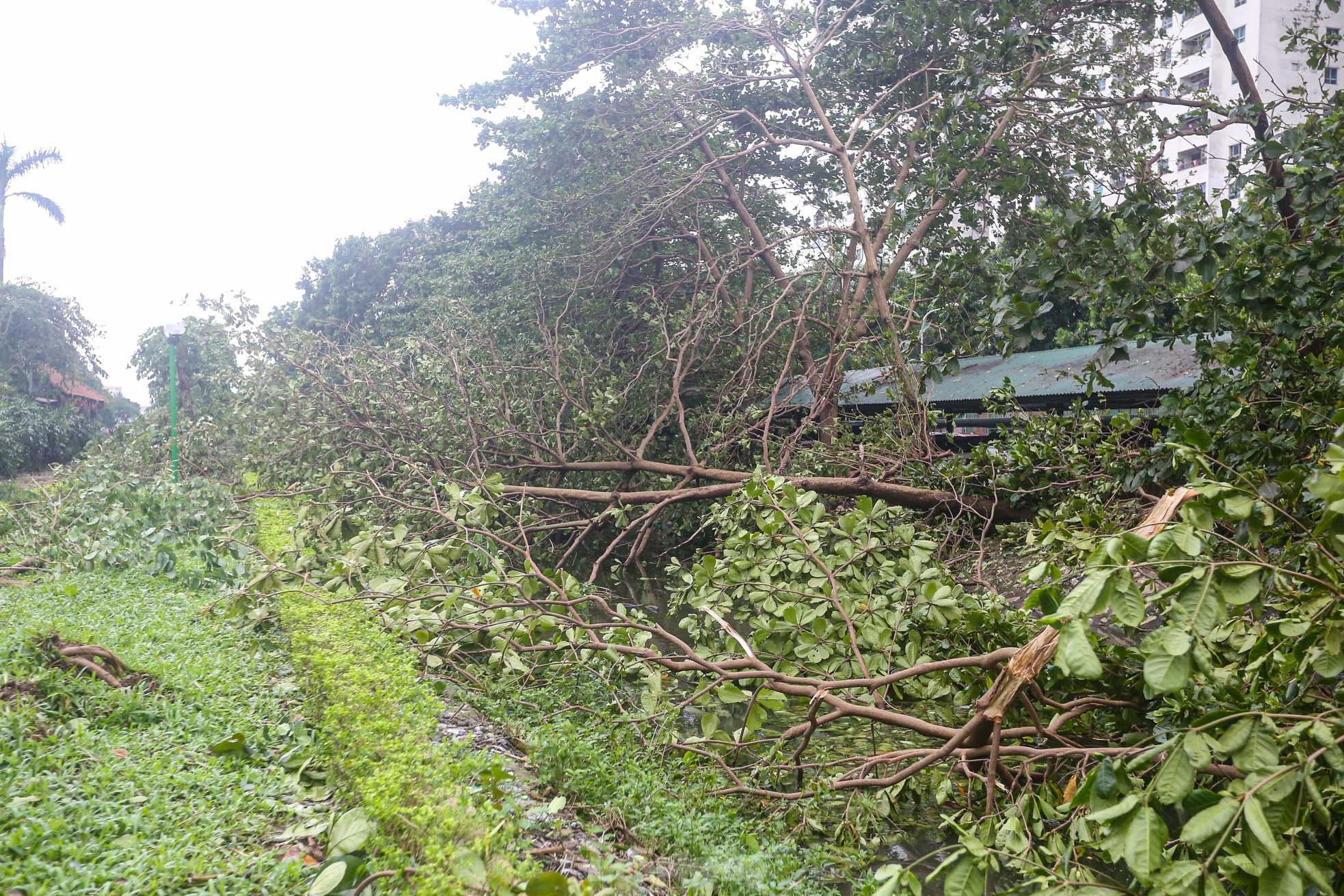 Khu đô thị đông dân nhất Thủ đô tan hoang sau bão Yagi, 'có nhà nhưng không có lối vào'- Ảnh 29.