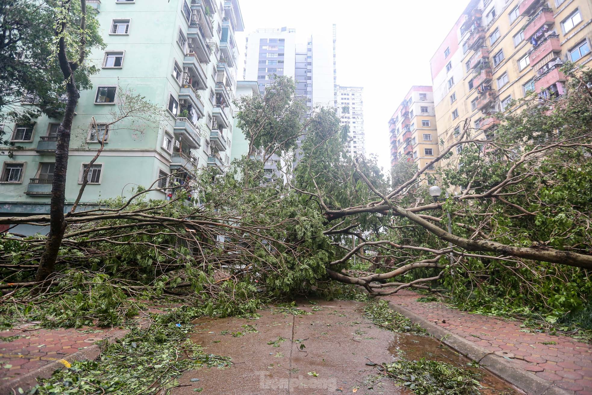 Khu đô thị đông dân nhất Thủ đô tan hoang sau bão Yagi, 'có nhà nhưng không có lối vào'- Ảnh 31.