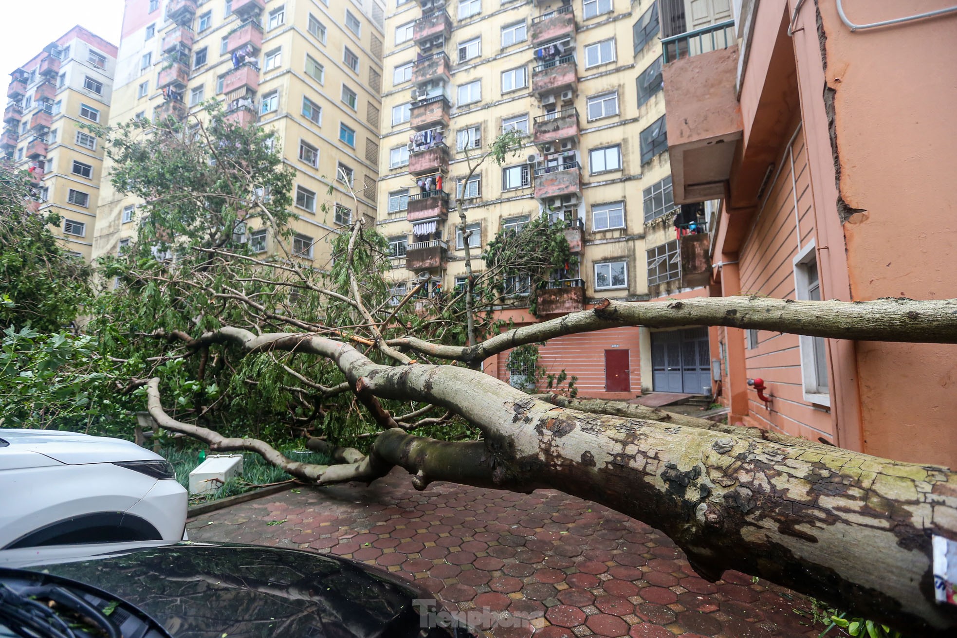 Khu đô thị đông dân nhất Thủ đô tan hoang sau bão Yagi, 'có nhà nhưng không có lối vào'- Ảnh 32.