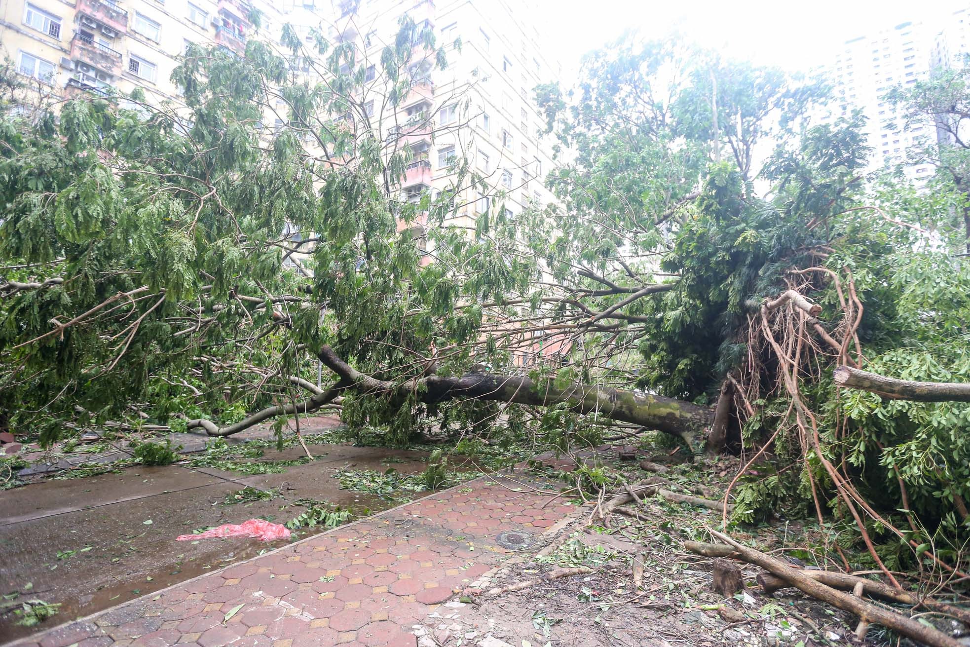 Khu đô thị đông dân nhất Thủ đô tan hoang sau bão Yagi, 'có nhà nhưng không có lối vào'- Ảnh 36.