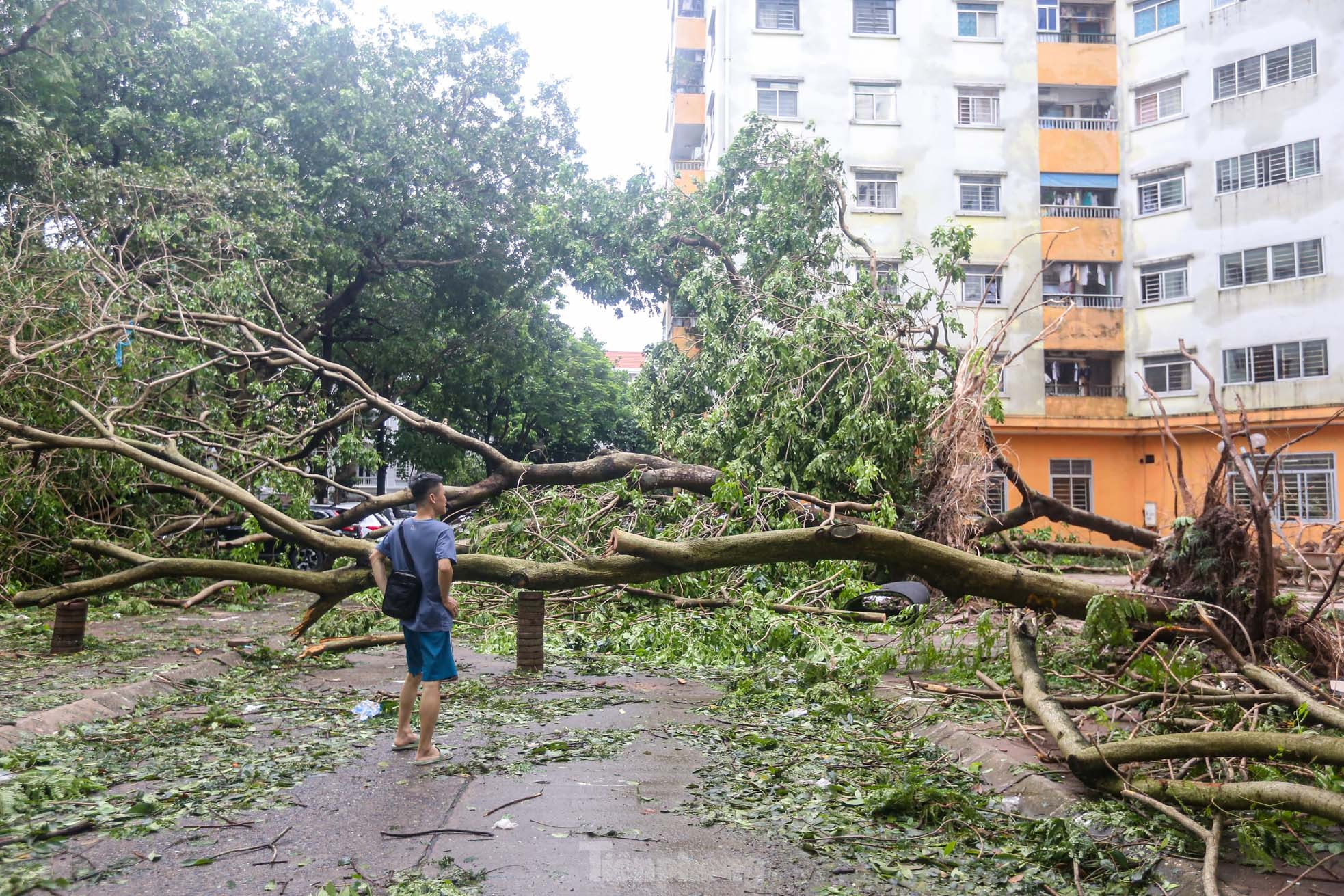 Khu đô thị đông dân nhất Thủ đô tan hoang sau bão Yagi, 'có nhà nhưng không có lối vào'- Ảnh 42.