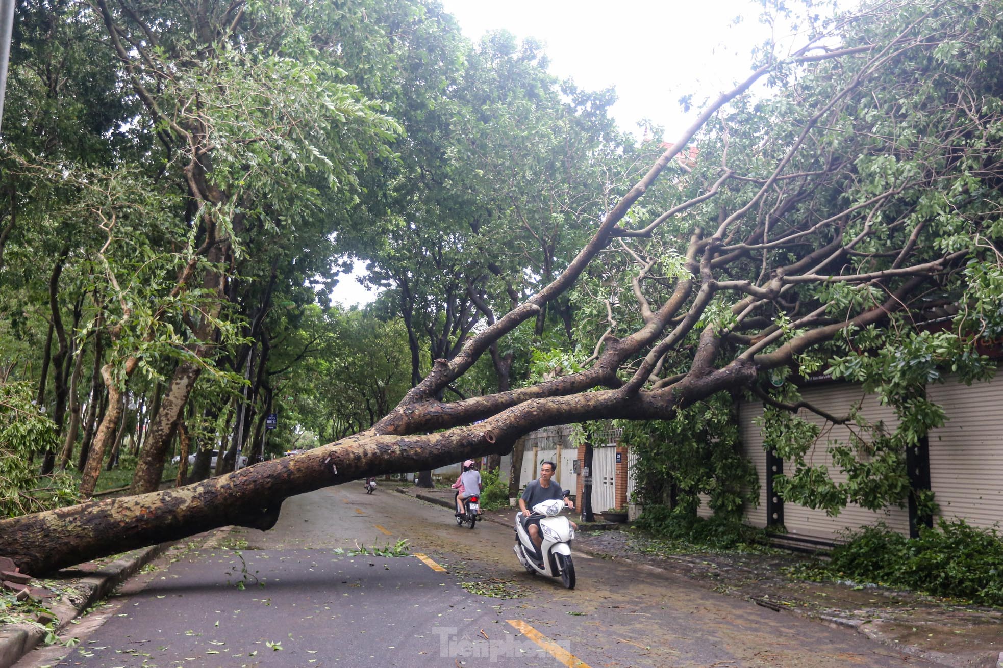 Khu đô thị đông dân nhất Thủ đô tan hoang sau bão Yagi, 'có nhà nhưng không có lối vào'- Ảnh 47.