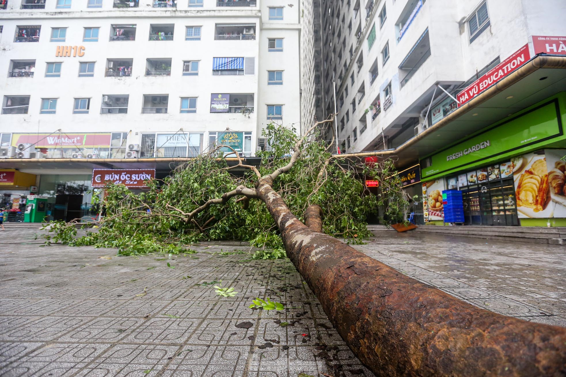 Khu đô thị đông dân nhất Thủ đô tan hoang sau bão Yagi, 'có nhà nhưng không có lối vào'- Ảnh 8.