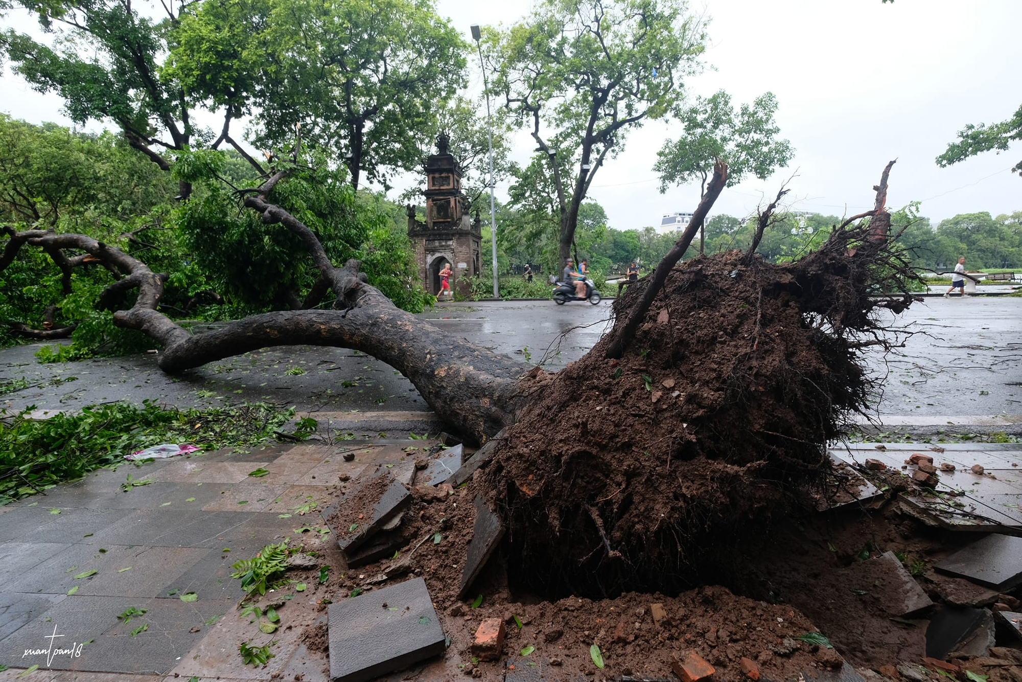 Con đường của những "nàng thơ" ở Hà Nội tan hoang sau bão Yagi - Ảnh 23.