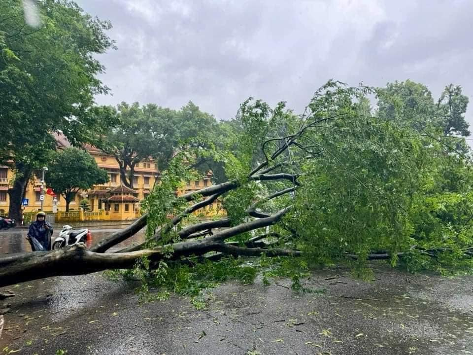 Con đường của những "nàng thơ" ở Hà Nội tan hoang sau bão Yagi - Ảnh 15.