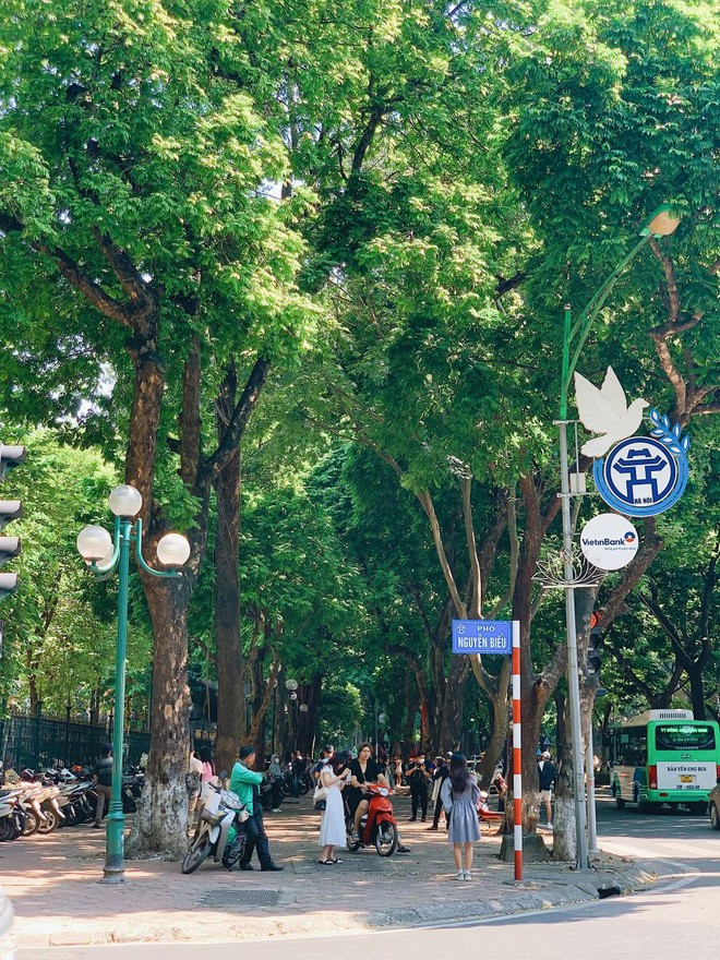 Con đường của những "nàng thơ" ở Hà Nội tan hoang sau bão Yagi - Ảnh 4.