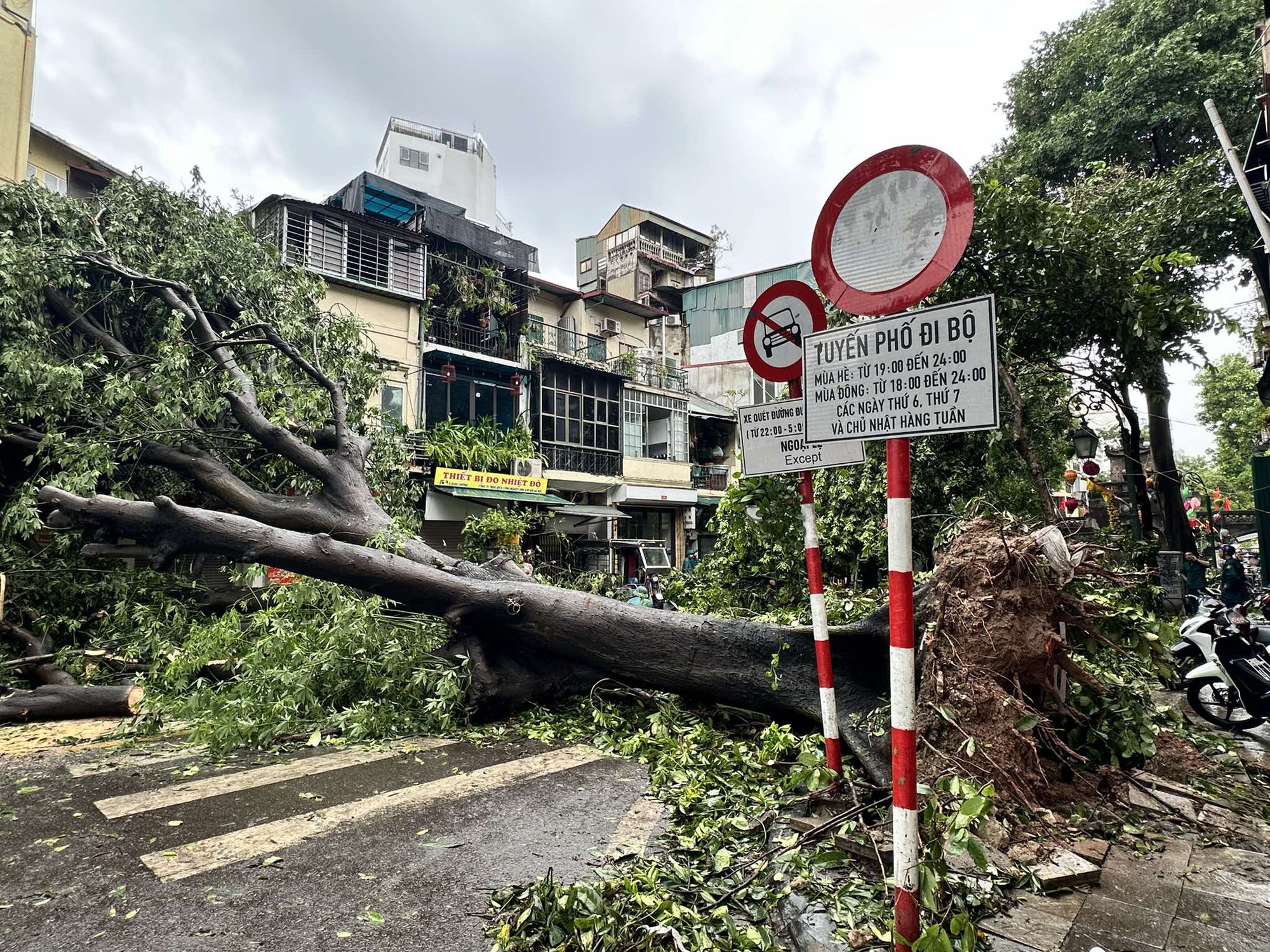 Cây xanh bật gốc Hà Nội: Hơn 25.000 Cây đổ , gãy trong bão số 3 - Ảnh 1.