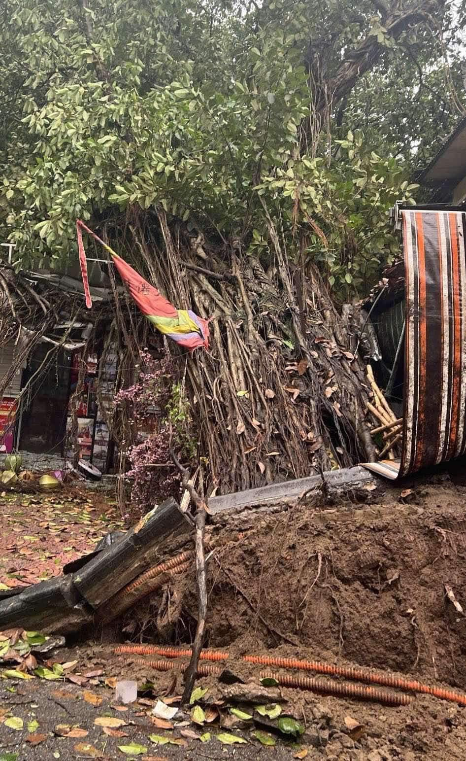 Con đường của những "nàng thơ" ở Hà Nội tan hoang sau bão Yagi - Ảnh 17.