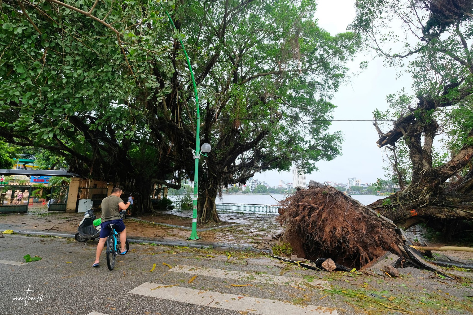 Con đường của những "nàng thơ" ở Hà Nội tan hoang sau bão Yagi - Ảnh 22.