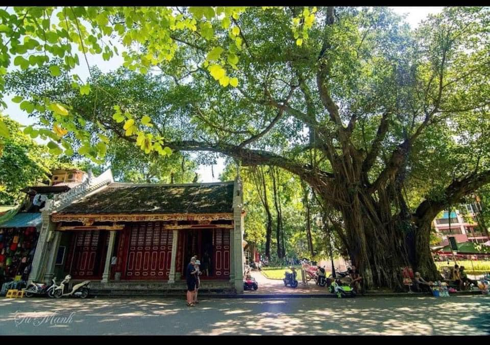 Con đường của những "nàng thơ" ở Hà Nội tan hoang sau bão Yagi - Ảnh 16.