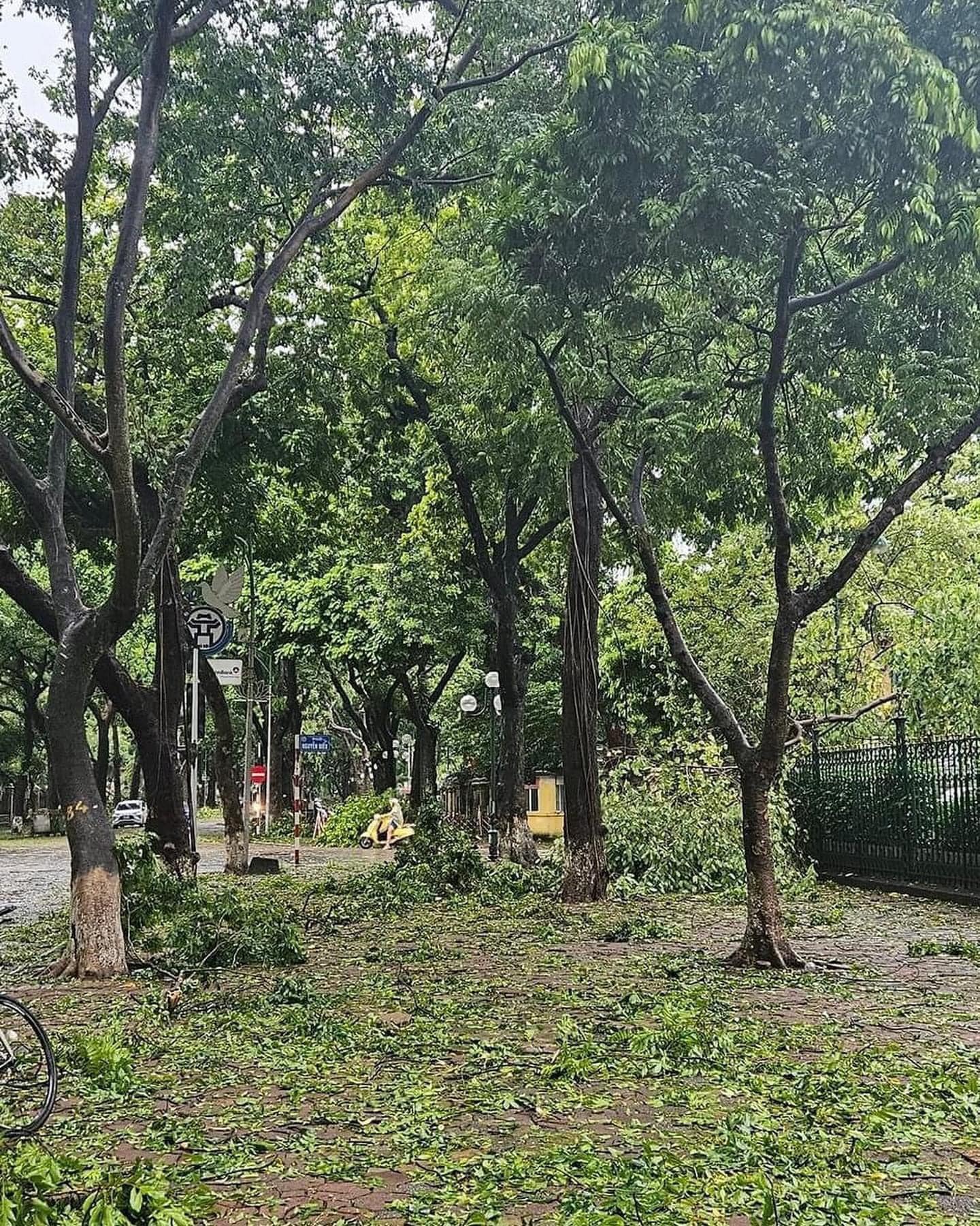 Con đường của những "nàng thơ" ở Hà Nội tan hoang sau bão Yagi - Ảnh 9.