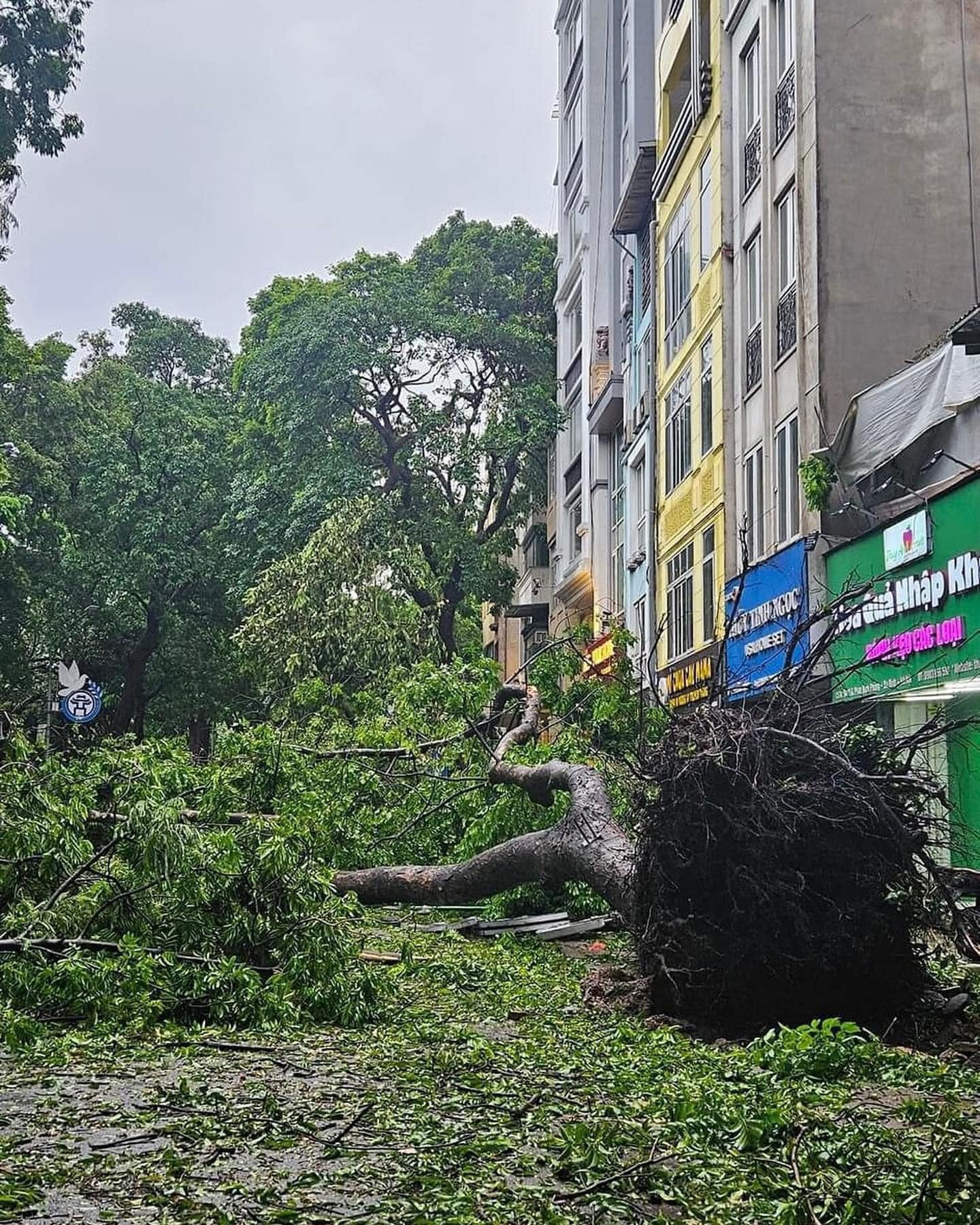Con đường của những "nàng thơ" ở Hà Nội tan hoang sau bão Yagi - Ảnh 10.