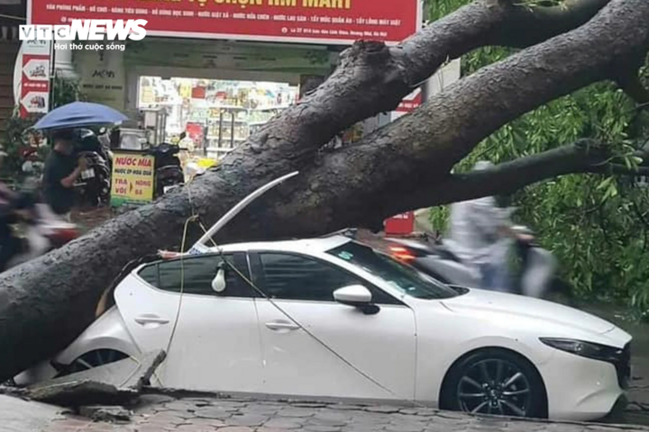 Doanh nghiệp bảo hiểm bồi thường thiệt hại do bão Yagi trước 12/9- Ảnh 1.