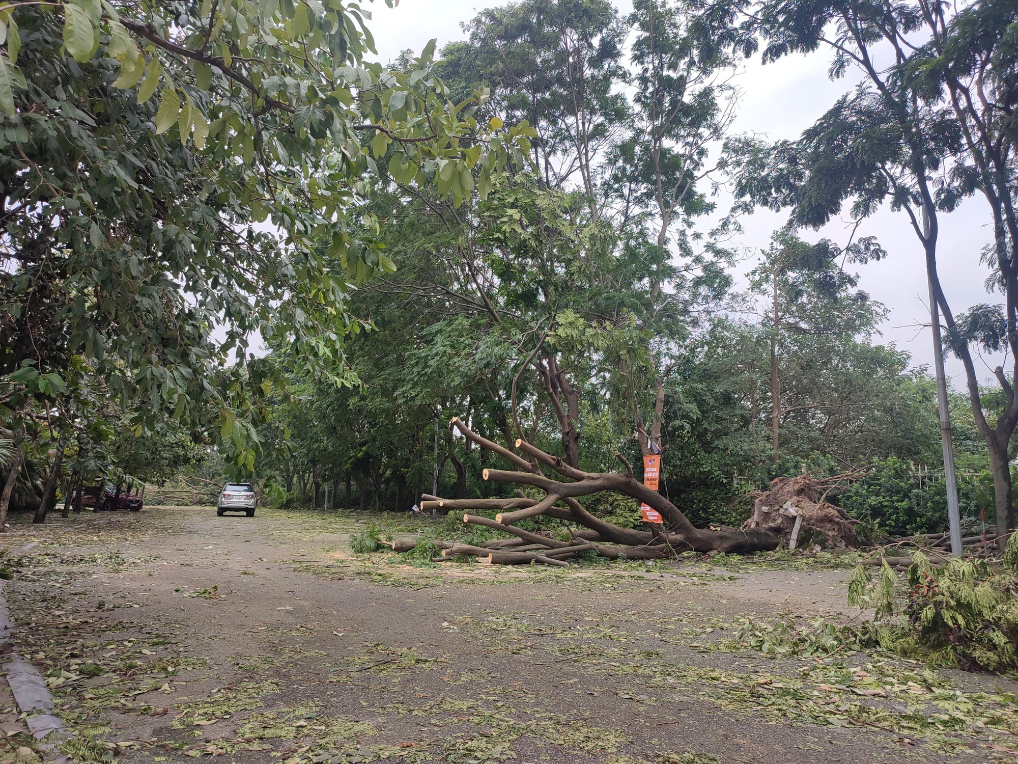 S&acirc;n Mỹ Đ&igrave;nh tan hoang do b&atilde;o, c&acirc;y nằm la liệt d&ugrave; chỉ c&ograve;n một ng&agrave;y nữa đội tuyển Việt Nam đấu Th&aacute;i Lan - Ảnh 1.