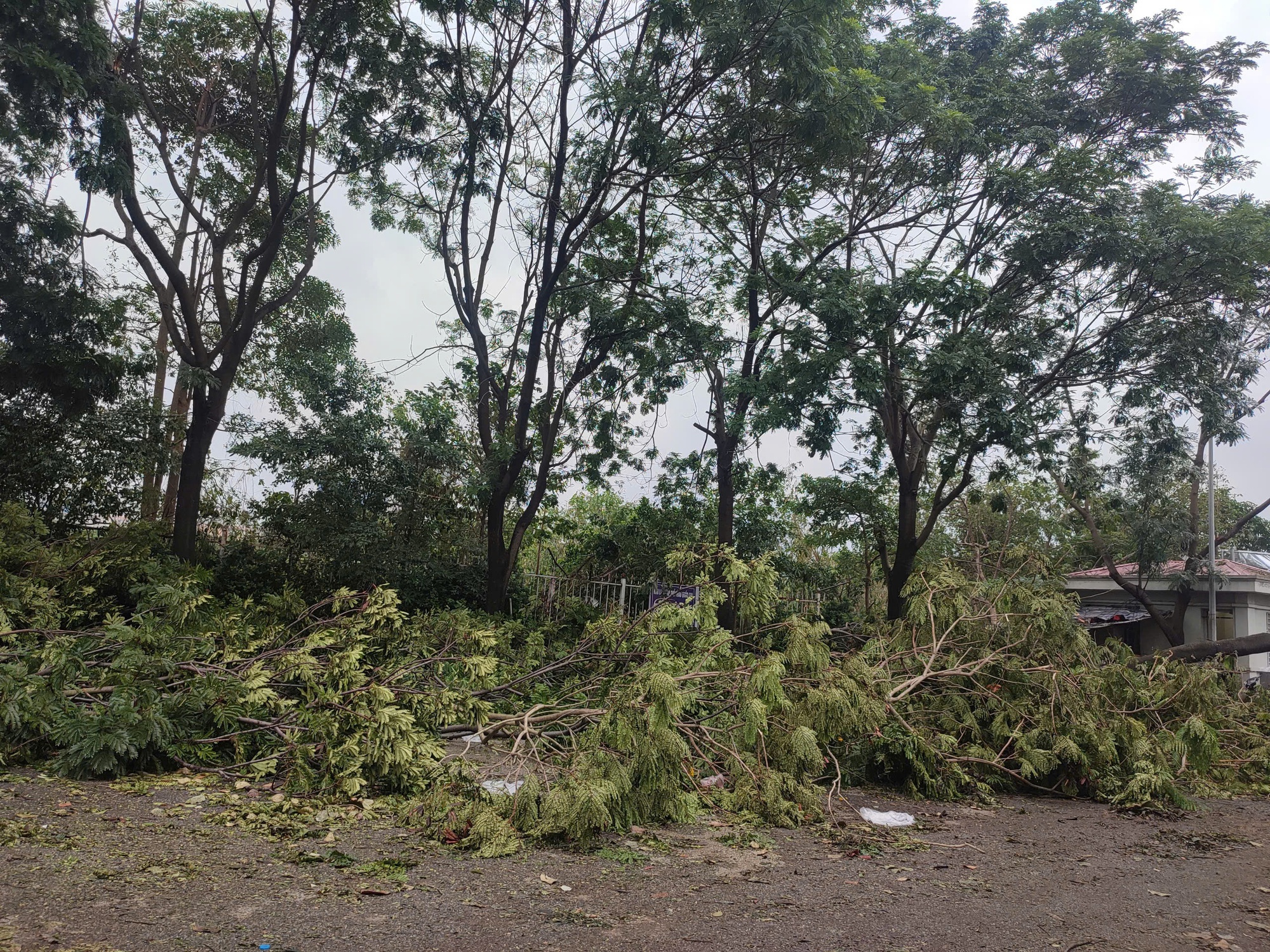 S&acirc;n Mỹ Đ&igrave;nh tan hoang do b&atilde;o, c&acirc;y nằm la liệt d&ugrave; chỉ c&ograve;n một ng&agrave;y nữa đội tuyển Việt Nam đấu Th&aacute;i Lan - Ảnh 2.
