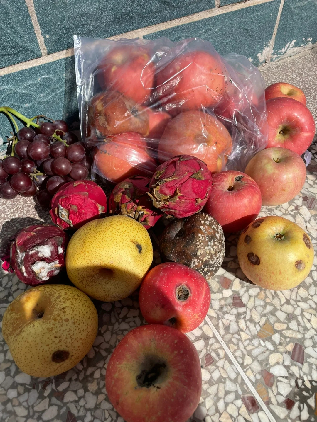 T&iacute;nh &ldquo;tiết kiệm v&ocirc; &iacute;ch&rdquo; của mẹ chồng khiến t&ocirc;i kh&ocirc;ng thể chịu nổi, cả gia đ&igrave;nh nhiều lần c&atilde;i v&atilde;- Ảnh 1.