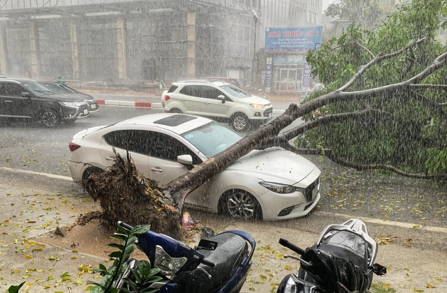 Ngày mai, miền Bắc có mưa rất to - Ảnh 1.