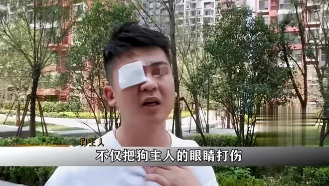 Bé gái 4 tuổi bị 3 con chó dữ truy đuổi, chủ nuôi đã vô ý thức lại có lời nói khiếm nhã- Ảnh 3. Bé gái 4 tuổi bị 3 con chó dữ truy đuổi, chủ nuôi đã vô ý thức lại có lời nói khiếm nhã- Ảnh 3.