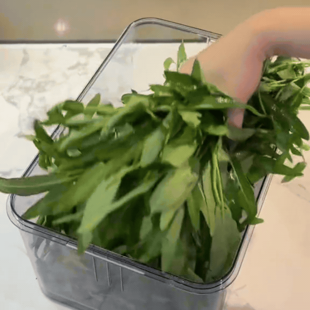 Nhìn cách cô gái dùng hộp để cất thực phẩm mà mê: Rau củ để cả tuần không hỏng, tủ lạnh sạch sẽ, gọn gàng- Ảnh 10. Nhìn cách cô gái dùng hộp để cất thực phẩm mà mê: Rau củ để cả tuần không hỏng, tủ lạnh sạch sẽ, gọn gàng- Ảnh 10.