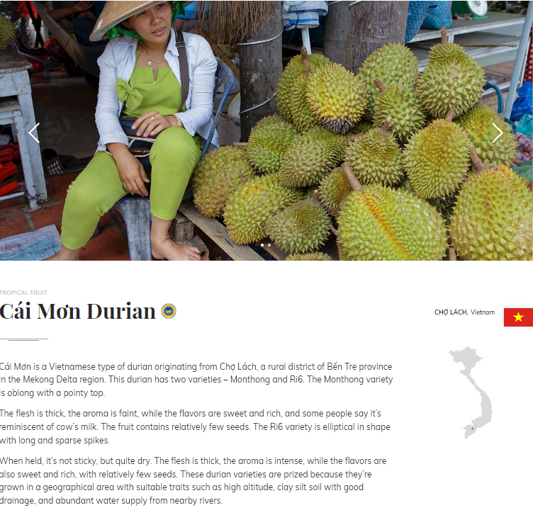 "Bản đồ ẩm thực thế giới" vinh danh sầu ri&ecirc;ng Bến Tre v&agrave; nhiều tr&aacute;i c&acirc;y nức tiếng của Việt Nam - Ảnh 1.