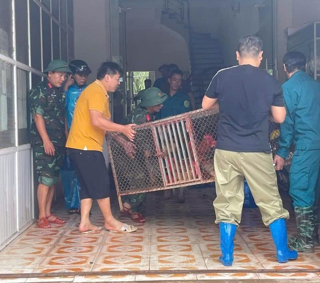 Nước sông Kỳ Cùng lên cao chưa thấy, người dân trắng đêm chạy lũ- Ảnh 8.