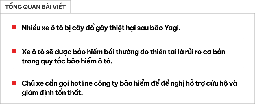 Chuy&ecirc;n gia bảo hiểm: '&Ocirc; t&ocirc; bị c&acirc;y đổ sau b&atilde;o được bồi thường tối đa 100% gi&aacute; trị nhưng chủ xe cần lưu &yacute; điều n&agrave;y'- Ảnh 1.