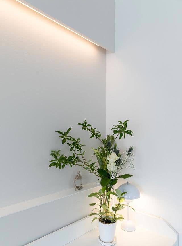 Người vợ 36 tuổi quyết không giao du hay mua sắm, cô chỉ ở nhà và dọn dẹp nơi ở sạch "như lau như li" - Ảnh 7. Người vợ 36 tuổi quyết không giao du hay mua sắm, cô chỉ ở nhà và dọn dẹp nơi ở sạch "như lau như li" - Ảnh 7.