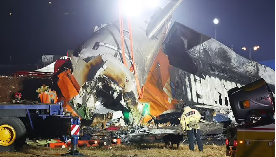 H&agrave;n Quốc: Điều bất thường trong hộp đen m&aacute;y bay Jeju Air gặp nạn - Ảnh 1.