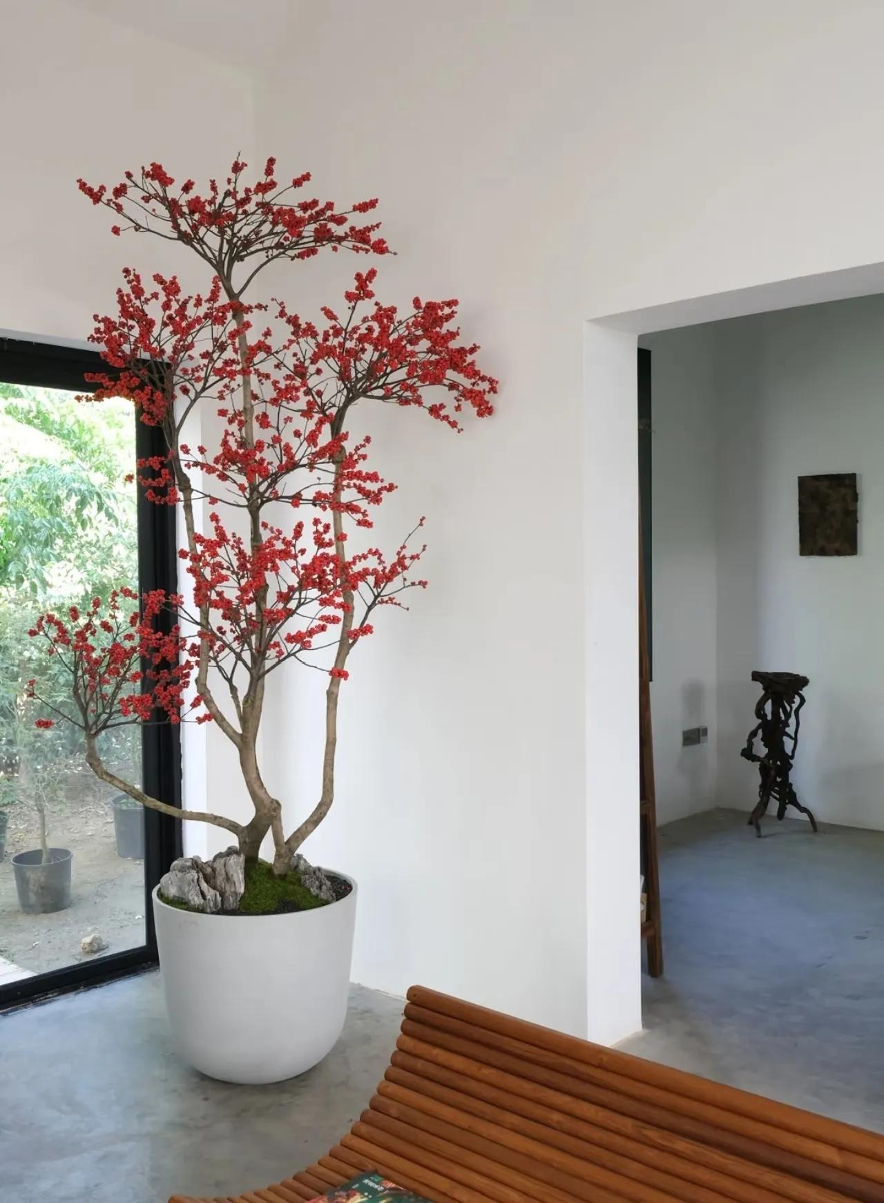 6 loại c&acirc;y đặt trong ph&ograve;ng kh&aacute;ch ng&agrave;y Tết sẽ gi&uacute;p gia đ&igrave;nh thịnh vượng, ph&uacute; qu&yacute;!- Ảnh 6.