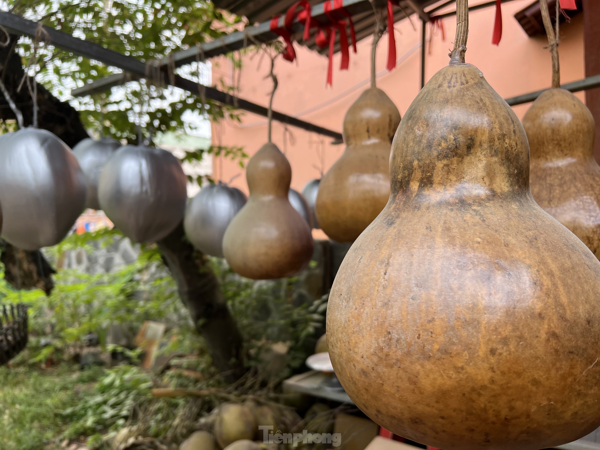 Mặt hàng Tết mà người sản xuất đã dừng nhận đơn hàng cả tháng vì… làm không xuể - Ảnh 3.