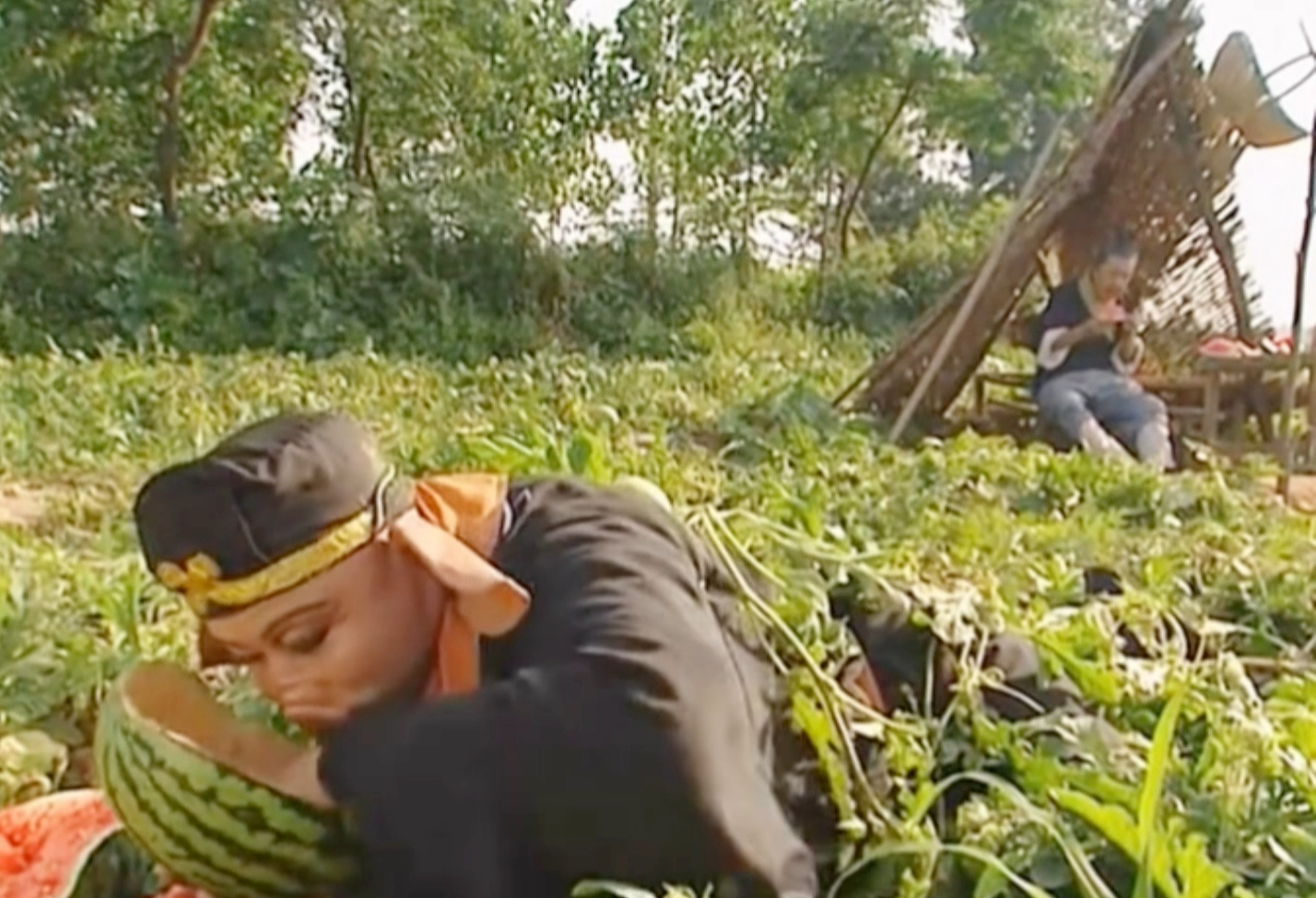 Chuyện t&igrave;nh l&atilde;ng mạn từ vụ trộm dưa hấu tuổi thơ - Ảnh 2.