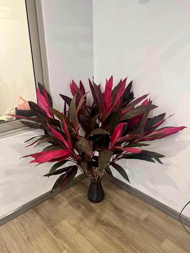 Loại cành biểu tượng cho may mắn, tài lộc, giá rẻ và cắm siêu bền này KHÔNG THỂ THIẾU trong nhà ngày Tết!- Ảnh 5. Loại cành biểu tượng cho may mắn, tài lộc, giá rẻ và cắm siêu bền này KHÔNG THỂ THIẾU trong nhà ngày Tết!- Ảnh 5.