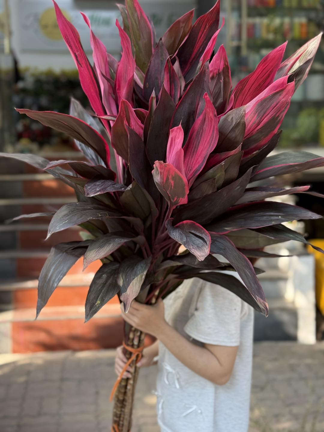 Loại cành biểu tượng cho may mắn, tài lộc, giá rẻ và cắm siêu bền này KHÔNG THỂ THIẾU trong nhà ngày Tết!- Ảnh 1. Loại cành biểu tượng cho may mắn, tài lộc, giá rẻ và cắm siêu bền này KHÔNG THỂ THIẾU trong nhà ngày Tết!- Ảnh 1.