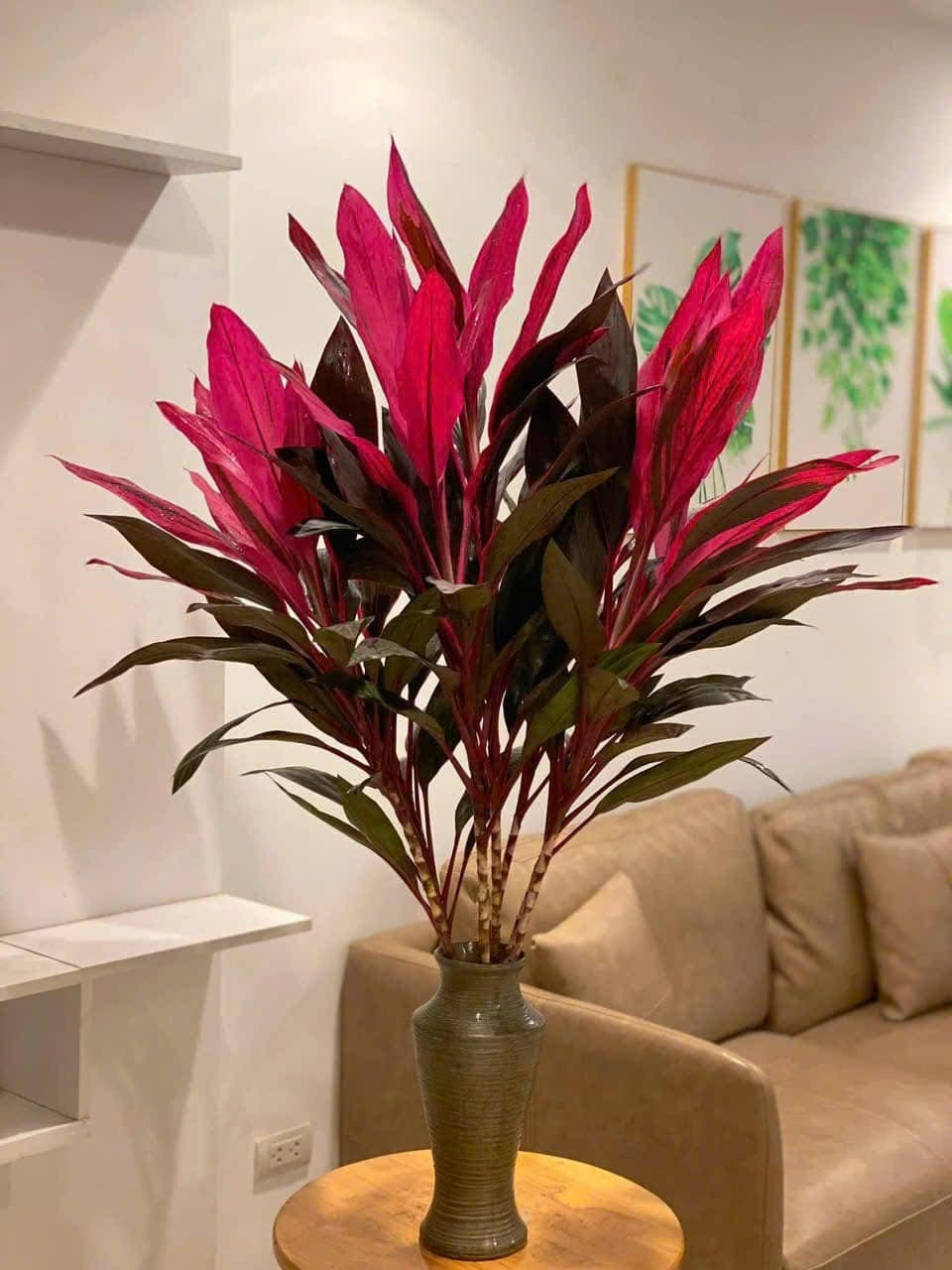 Loại cành biểu tượng cho may mắn, tài lộc, giá rẻ và cắm siêu bền này KHÔNG THỂ THIẾU trong nhà ngày Tết!- Ảnh 3. Loại cành biểu tượng cho may mắn, tài lộc, giá rẻ và cắm siêu bền này KHÔNG THỂ THIẾU trong nhà ngày Tết!- Ảnh 3.