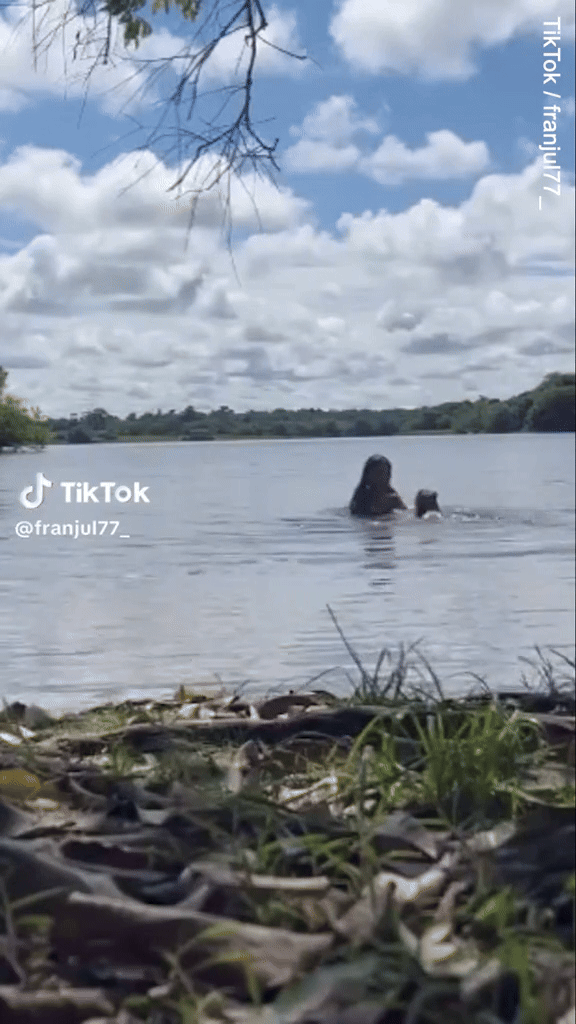 Đang bơi ở hồ, cô gái bất ngờ bị con chuột lang nước khổng lồ tấn công, video khiến người xem hoảng hốt - Ảnh 1.