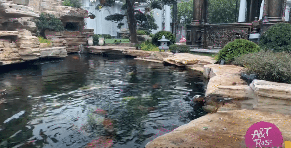 Lâu đài - Ảnh 8. Lâu đài - Ảnh 8.