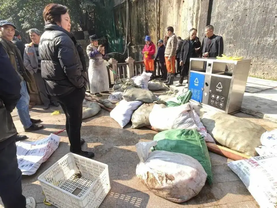 Đàn cá Koi trị giá tiền tỷ đột nhiên chết trắng hàng trăm con, chủ điếng người khi biết thủ phạm - Ảnh 4.
