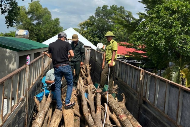 Vụ hợp thức hóa gỗ giáng hương trái phép Tại Ea Súp - Ảnh 1.