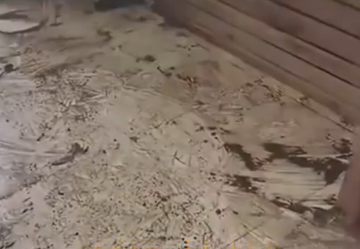 G&aacute;i xinh thu&ecirc; nh&agrave; rồi b&aacute;o dọn đi, chủ nh&agrave; đến kiểm tra th&igrave; sợ h&atilde;i bỏ chạy ngay tại chỗ trước cảnh tượng kinh ho&agrave;ng - Ảnh 3.