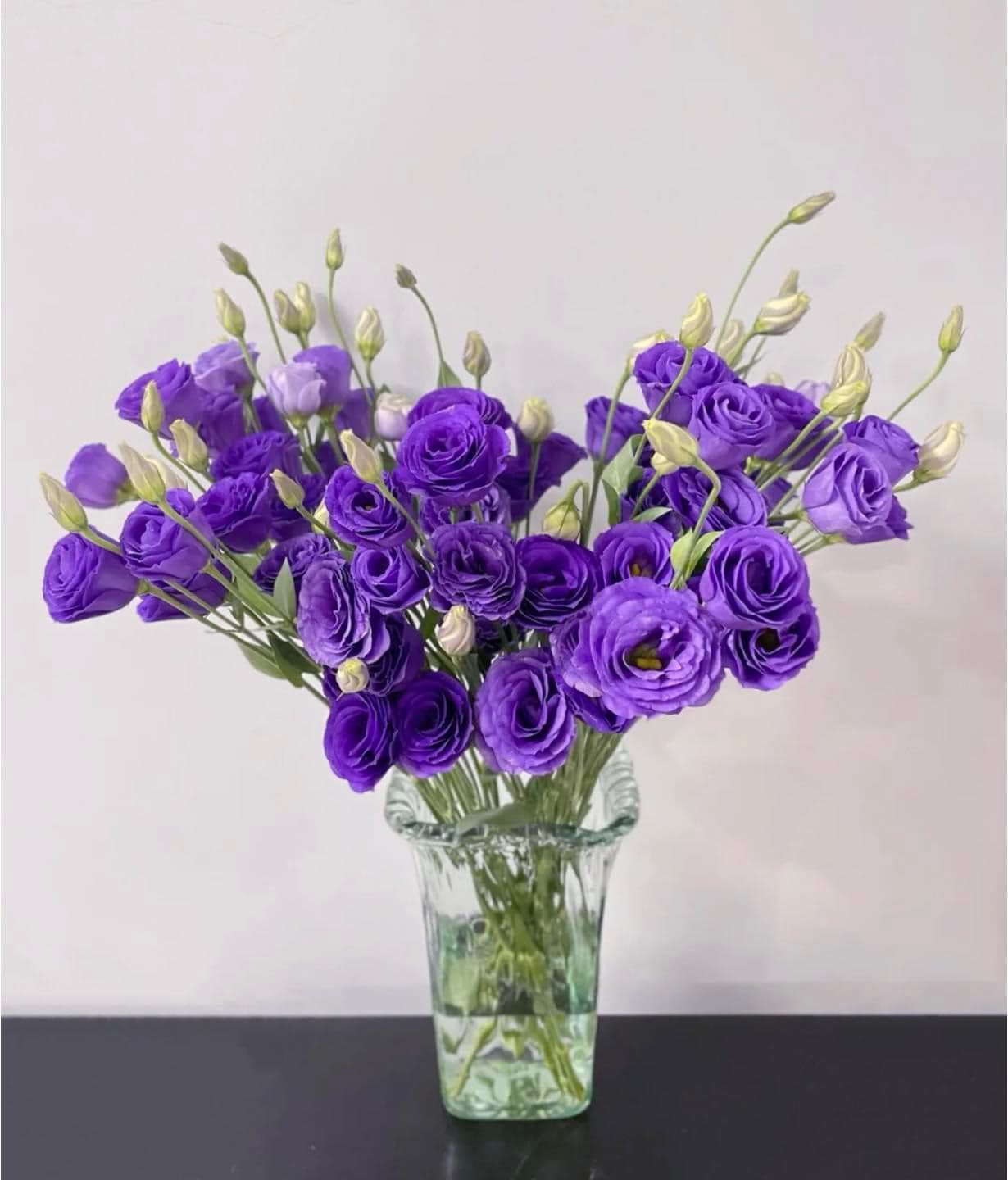 Lòai hoa ngày Tết bạn NHẤT ĐỊNH phải cắm để mang lại sự viên mãn và hạnh phúc - Ảnh 4. Lòai hoa ngày Tết bạn NHẤT ĐỊNH phải cắm để mang lại sự viên mãn và hạnh phúc - Ảnh 4.