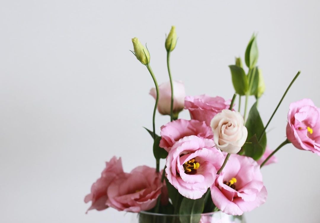 Lòai hoa ngày Tết bạn NHẤT ĐỊNH phải cắm để mang lại sự viên mãn và hạnh phúc - Ảnh 1. Lòai hoa ngày Tết bạn NHẤT ĐỊNH phải cắm để mang lại sự viên mãn và hạnh phúc - Ảnh 1.