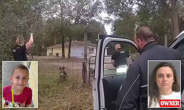 Chó pitbull tấn công tử vong bé trai 8 tuổi , Hiện trường ám ảnh - Ảnh 1.