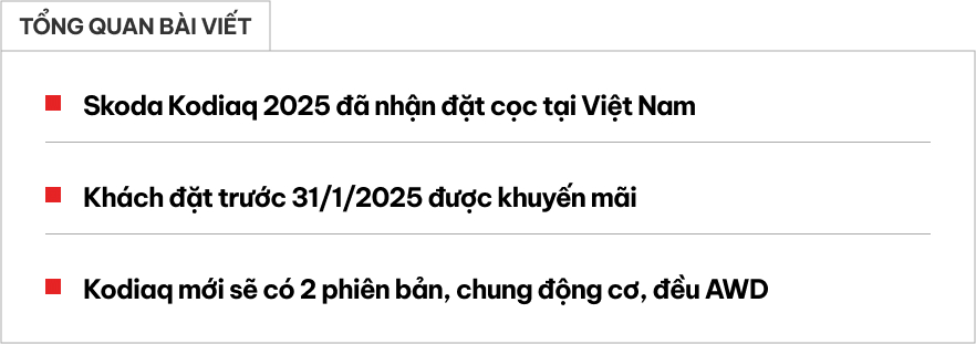 Skoda Kodiaq 2025 chốt bán tại Việt Nam: Mua trước Tết giảm giá lăn bánh, có bản thể thao, đều AWD, tăng sức đấu Santa Fe- Ảnh 1.