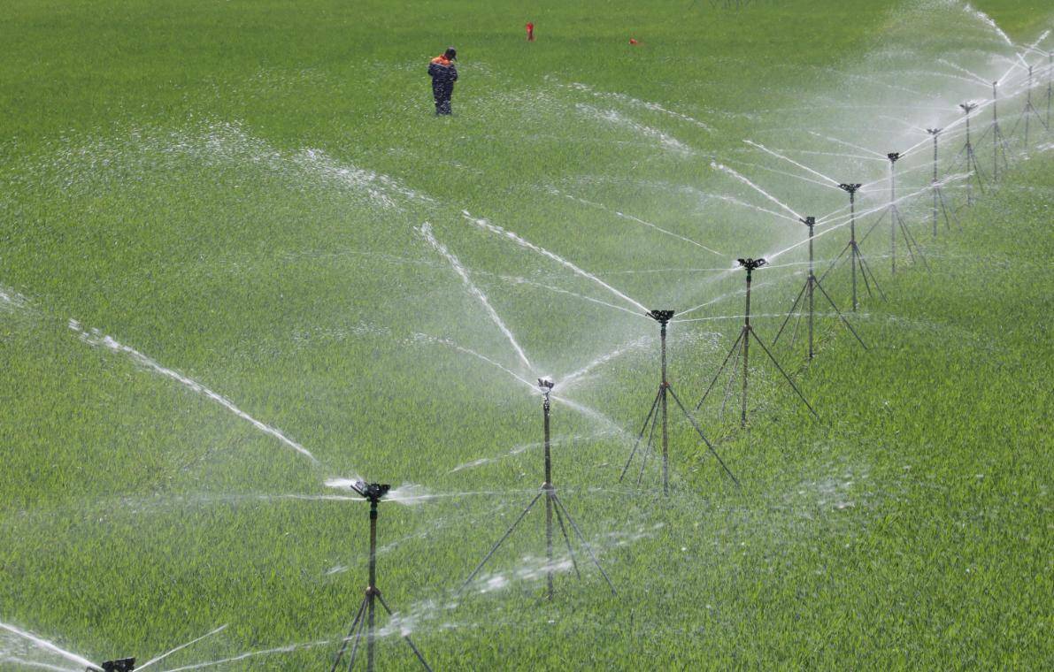 Dự b&aacute;o d&acirc;n gian cho năm Ất Tỵ 2025: "7 rồng trị thủy, 4 tr&acirc;u c&agrave;y ruộng, 9 người chia b&aacute;nh" mang &yacute; nghĩa g&igrave;? - Ảnh 4.