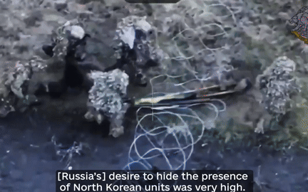 Nghe thấy tiếng mèo kêu, lính Nga mở tủ ra và... "bùm": Hé lộ chiến thuật chết người mới của Ukraine - Ảnh 2.