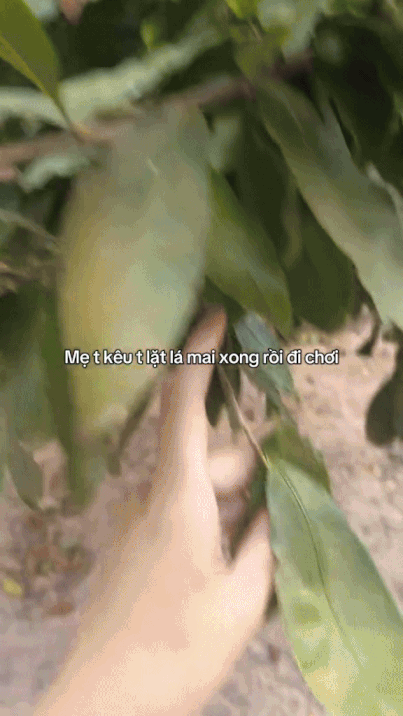 Sốc hơn cả việc Tấm lựa gạo với thóc, đây là nhiệm vụ gây ám ảnh ở cấp độ cao nhất Tết này- Ảnh 1. Sốc hơn cả việc Tấm lựa gạo với thóc, đây là nhiệm vụ gây ám ảnh ở cấp độ cao nhất Tết này- Ảnh 1.