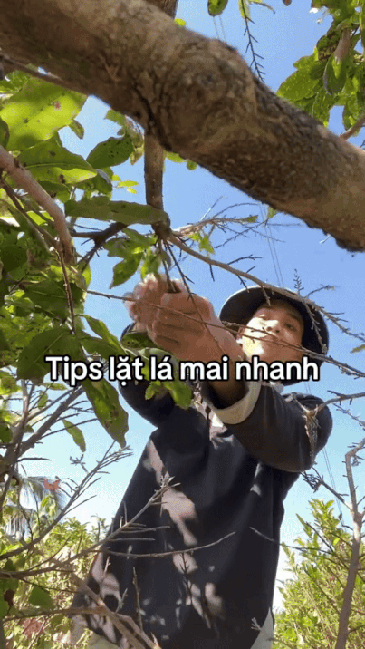 Sốc hơn cả việc Tấm lựa gạo với thóc, đây là nhiệm vụ gây ám ảnh ở cấp độ cao nhất Tết này- Ảnh 3. Sốc hơn cả việc Tấm lựa gạo với thóc, đây là nhiệm vụ gây ám ảnh ở cấp độ cao nhất Tết này- Ảnh 3.