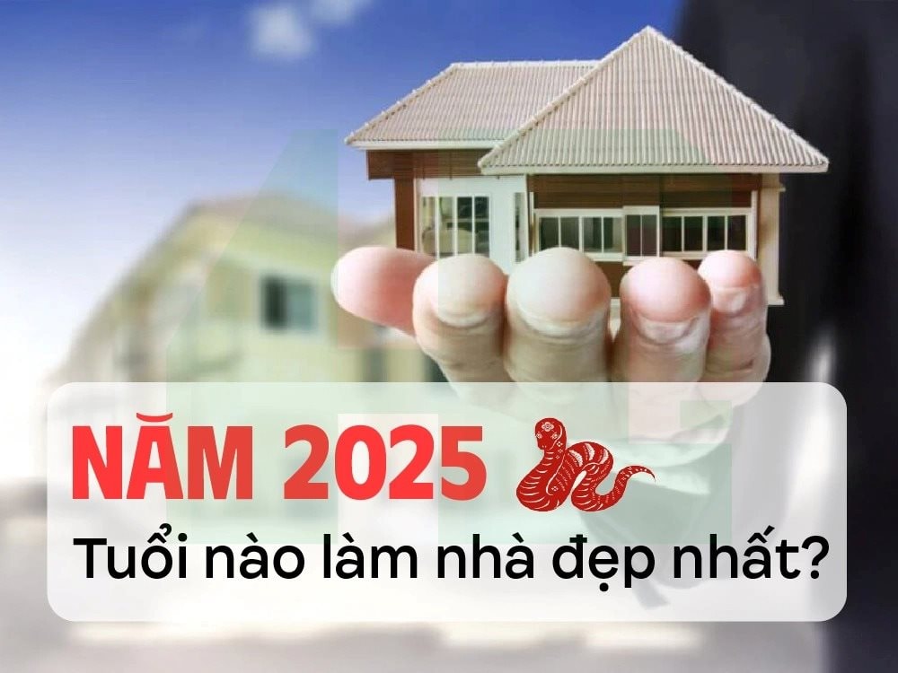 - Ảnh 1.