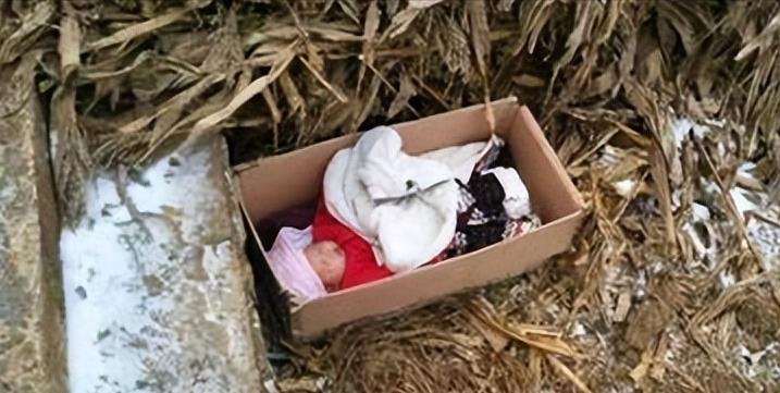 Nhặt đứa trẻ sơ sinh bị bỏ rơi giữa trời lạnh gi&aacute; về nu&ocirc;i, nhiều năm sau người đ&agrave;n &ocirc;ng ngh&egrave;o rớt mồng tơi nhận về một thứ- Ảnh 1.